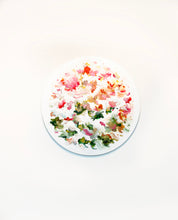 Load image into Gallery viewer, Now Everything's Vivid #14