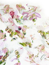 Load image into Gallery viewer, Efflorescence #14