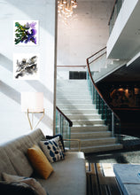 Load image into Gallery viewer, Hoshi #3