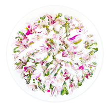 Load image into Gallery viewer, Efflorescence #13
